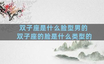 双子座是什么脸型男的 双子座的脸是什么类型的